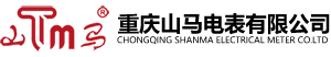 重慶山馬電表有限公司